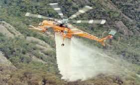 Elvis the Helicopter