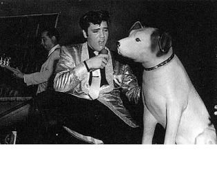 Back To The Fifties with Elvis
