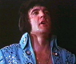 Elvis on stage in Elvis On Tour
