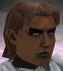 Fallen Paladin Braford of the Gulthias Tree