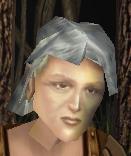 The Mysterious Old Lady