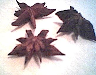 star anise