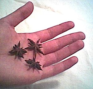 star anise