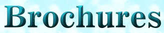 Brochure Title