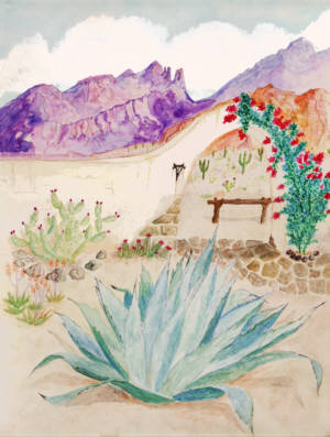 art watercolor