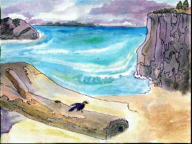 watercolors