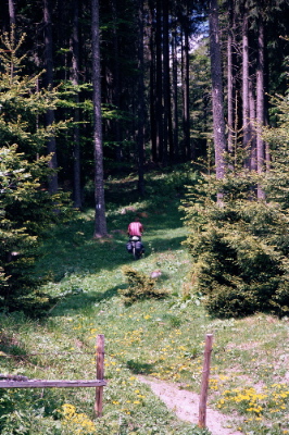 A short cut