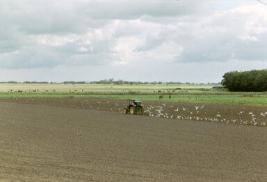 Friesland view