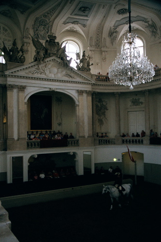 Famous horses in Vienna