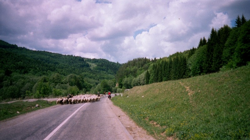 Traffic jam