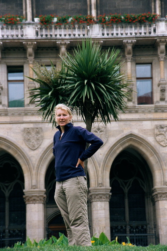 Sharon finds a Cabbage tree in central Vienna
