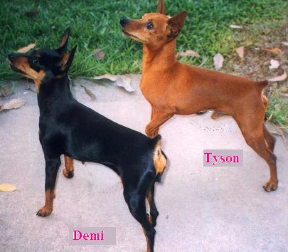 Demi 7 years old with Tyson 5 years old.