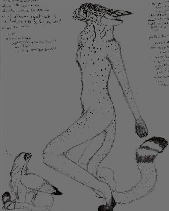 Sketch: Ember Furre