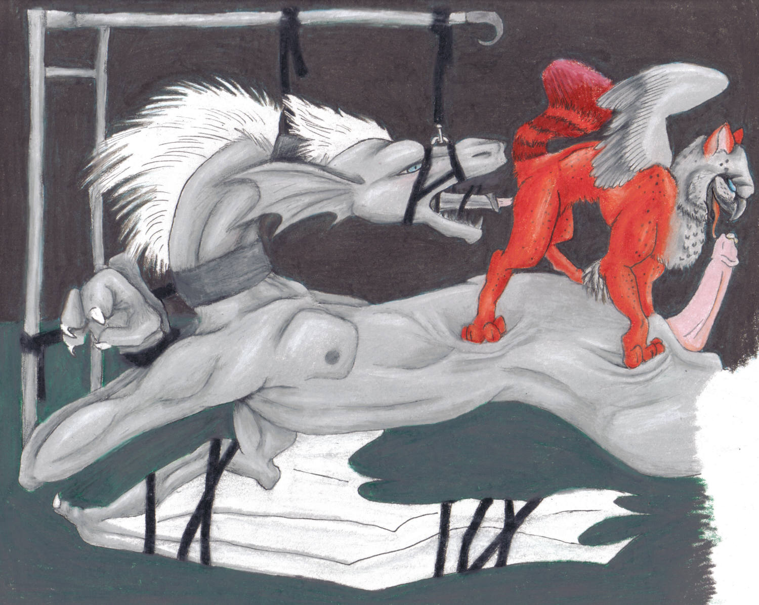 Anthro, graphic