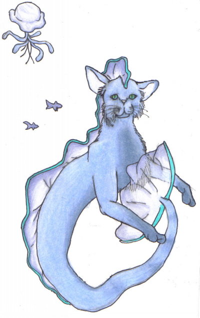 Kitticampus