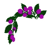 Eurika.jpg (13717 bytes)