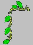 Bob.jpg (5951 bytes)