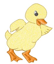 Pam.jpg (10370 bytes)