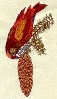 SandiH.jpg (65368 bytes)