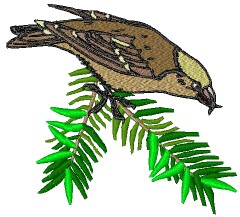 BarbaraM.jpg (20791 bytes)