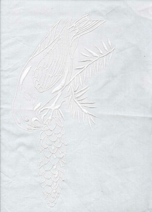 jenfirconebird.jpg (25436 bytes)