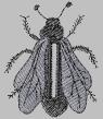 Lynda3.jpg (3209 bytes)