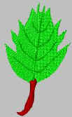 Ruby.jpg (3046 bytes)