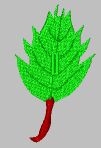 Ruby1.jpg (3489 bytes)
