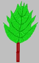 Ruby3.jpg (6158 bytes)