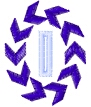 VickiO.jpg (10215 bytes)