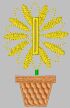 Fern1.jpg (2082 bytes)