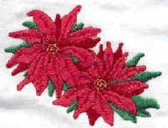 Donna's pointsettia.jpg (22263 bytes)