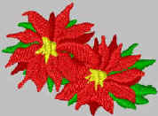 Liz.jpg (8743 bytes)