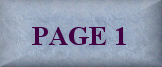 page1p.gif (7687 bytes)