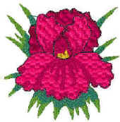 Elinor.jpg (11295 bytes)