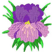 Marylou.jpg (9759 bytes)