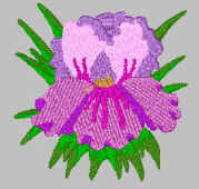 Nikki.jpg (18811 bytes)
