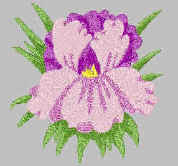Patsy.jpg (9605 bytes)