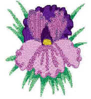 Vera.jpg (11831 bytes)