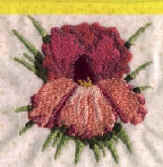 linda2.jpg (11093 bytes)