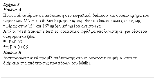 Text Box: Σχήμα 5
Εικόνα Α
Ποσοστά κυτάρων σε απόπτωση στο κεφαλικό, διάμεσο και ουραίο τμήμα του πόρου του Müller σε θηλυκά έμβρυα αρουραίου σε διαφορετικές ώρες της ημέρας στην 15η και 16η εμβρυική ημέρα αντίστοιχα.
Από το t-test (student’s test) το στατιστικό σφάλμα υπολογίστηκε για τέσσερα διαφορετικά ζώα.
* : P<0.03
**: P < 0.006
Εικόνα Β
Αντιπροσωπευτικά προφίλ απόπτωσης στο ουρογεννητικό φύμα κατά τη διάρκεια της απόπτωσης των πόρων του Müller.