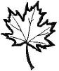 leaf1