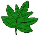 leaf1