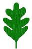 leaf5