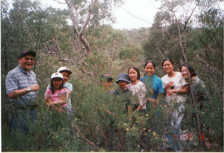 bushwalk1.jpg - 164799 Bytes