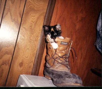 /user/pussnboot.JPG