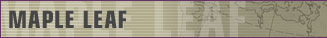 ARTICLE: Regimental System