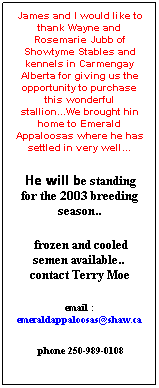 Text Box: James and I would like to thank Wayne and Rosemarie Jubb of Showtyme Stables and kennels in Carmengay Alberta for giving us the opportunity to purchase this wonderful stallion...We brought hin home to Emerald Appaloosas where he has settled in very well...
&nbsp;He will be standing for the 2003 breeding season..
&nbsp;frozen and cooled semen available..&nbsp; contact Terry Moe
email : emeraldappaloosas@shaw.ca
&nbsp;phone 250-989-0108 
&nbsp;
