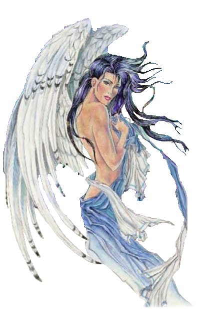 Fairy 12