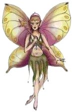 Fairy 15